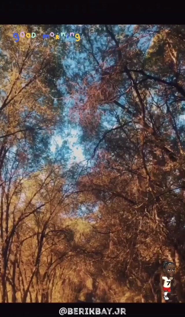 Нұр-дент
