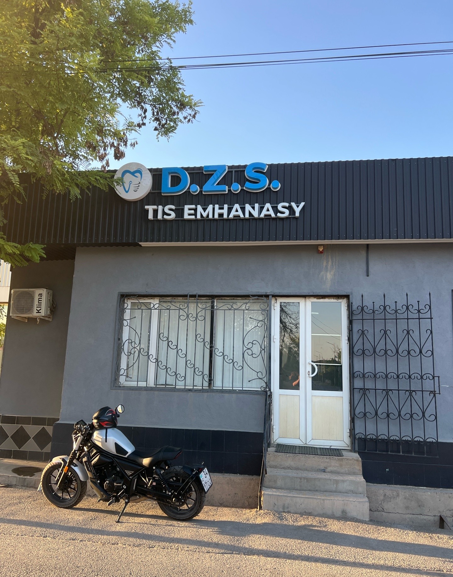 D.Z.S ‘tis emhanasy