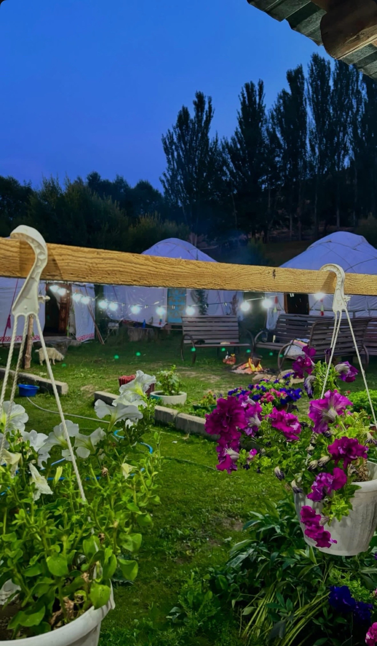 Temirkhan Guesthouse