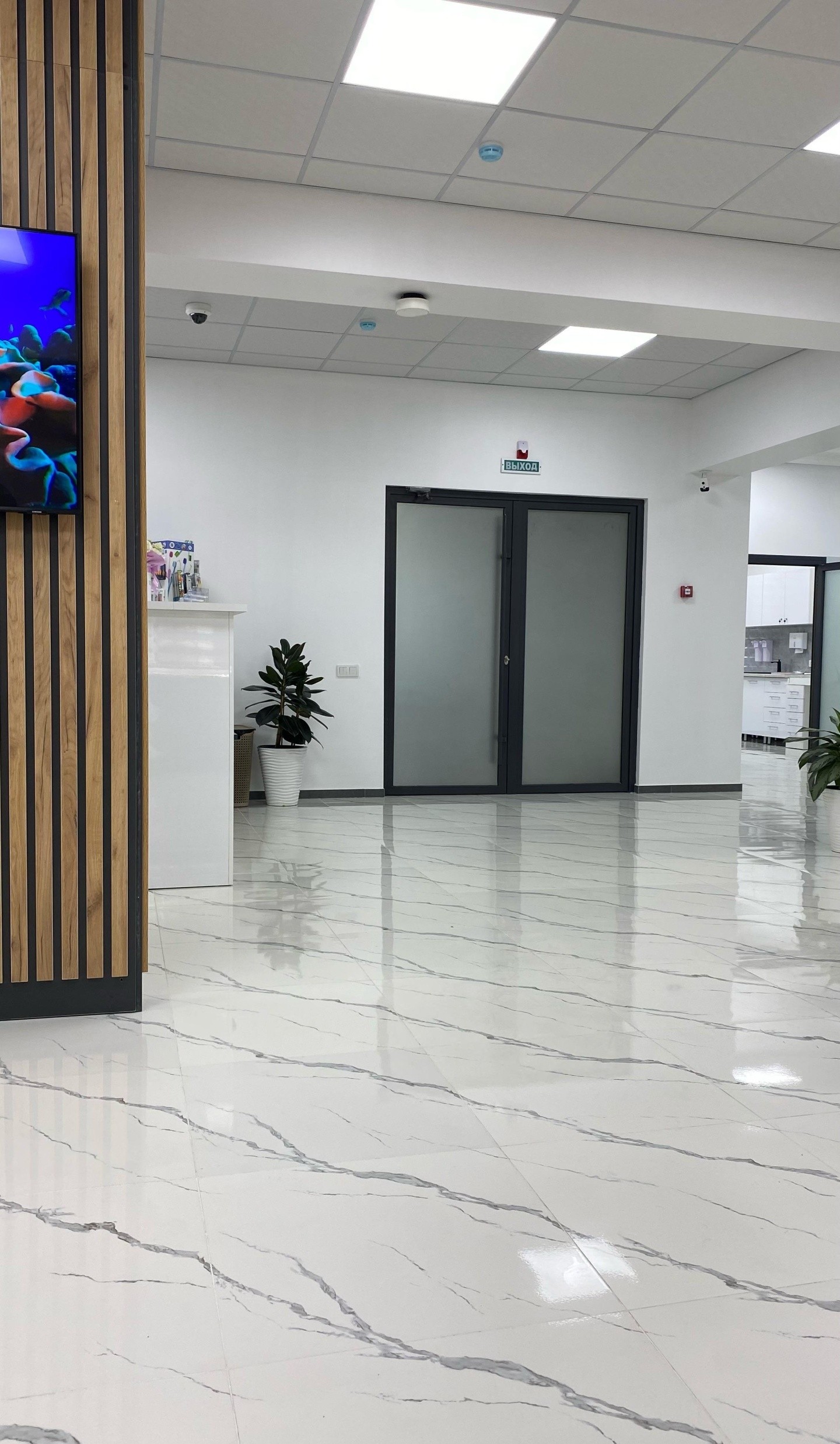 Mirai Dental Clinic