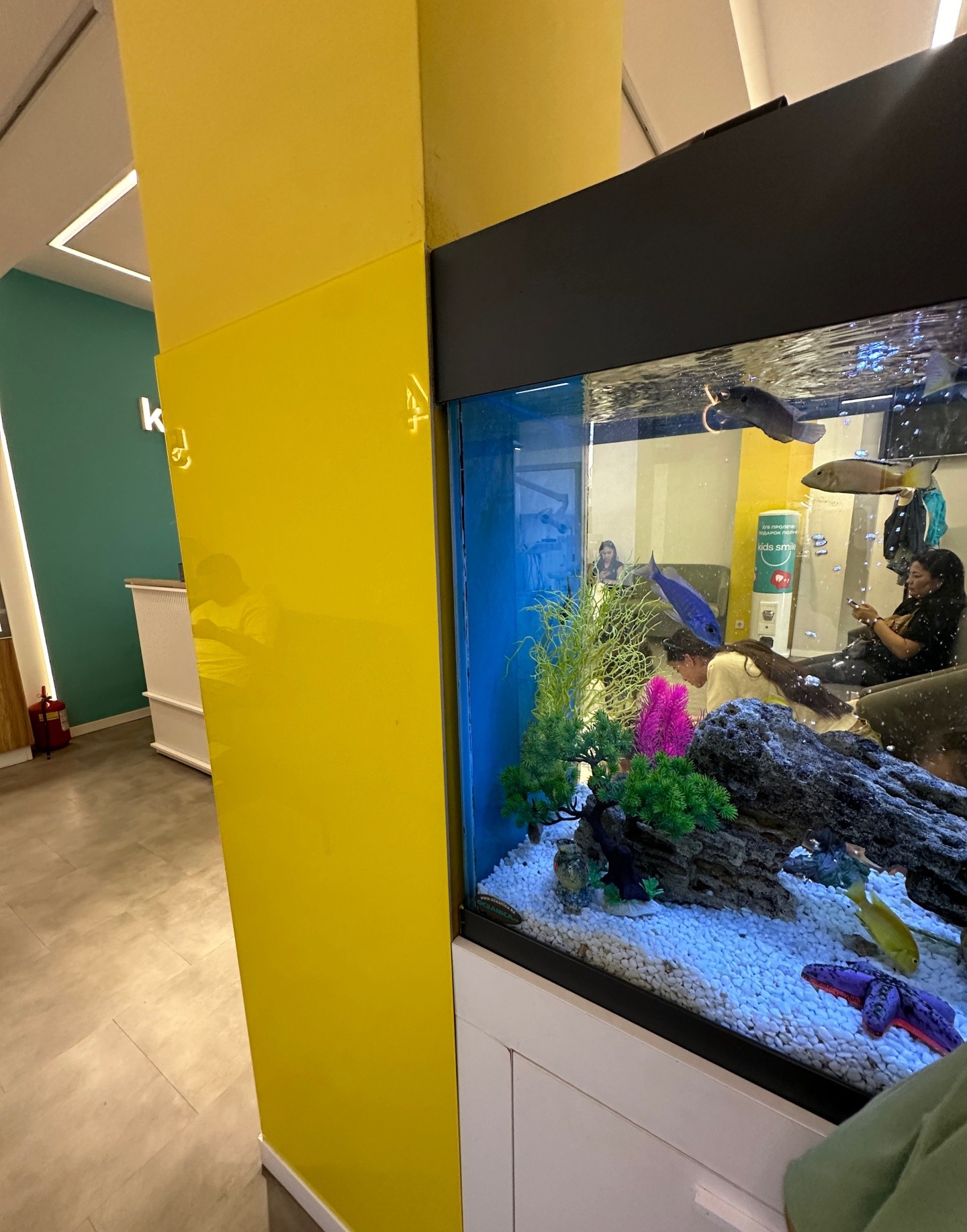 Kids Smile
