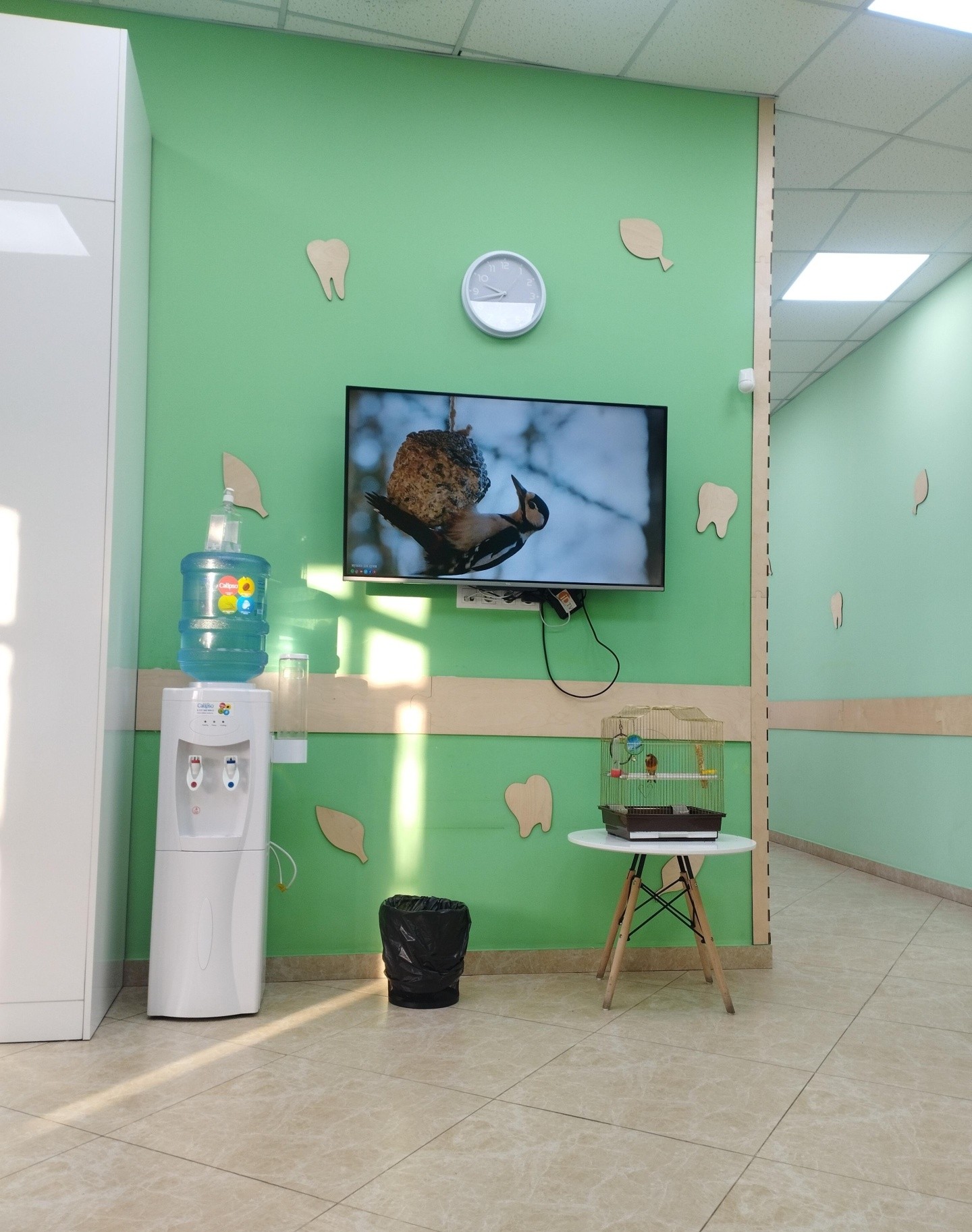 Vita Dental Clinic