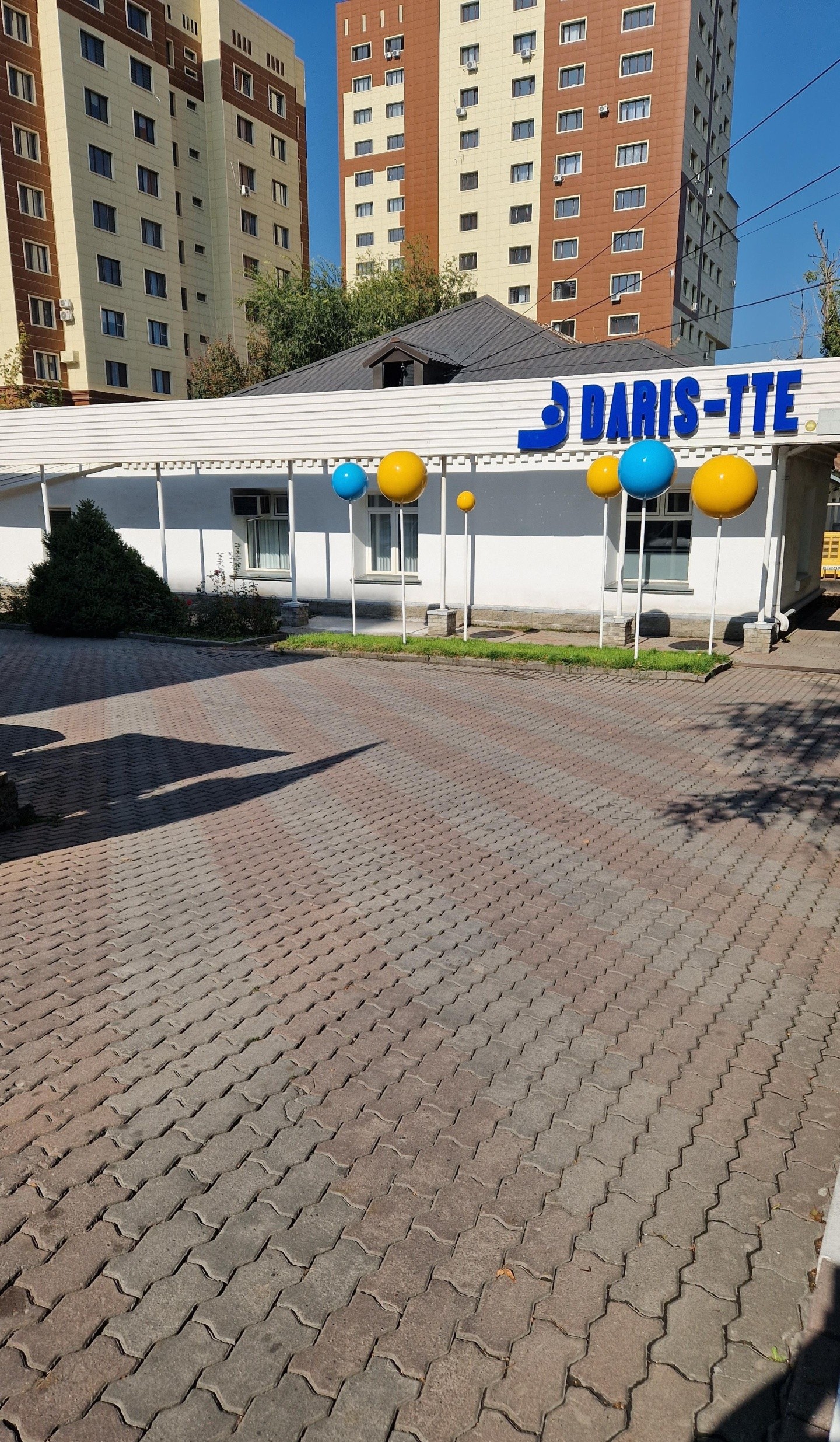 Daris-tte