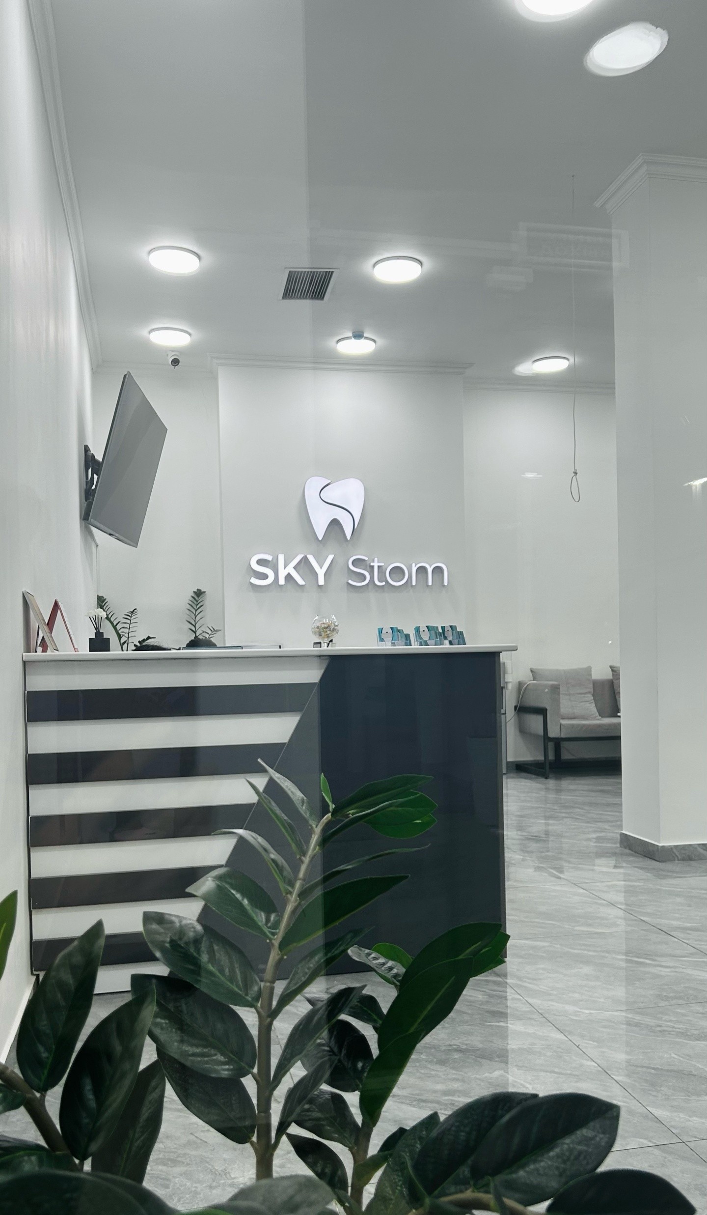 Sky Stom
