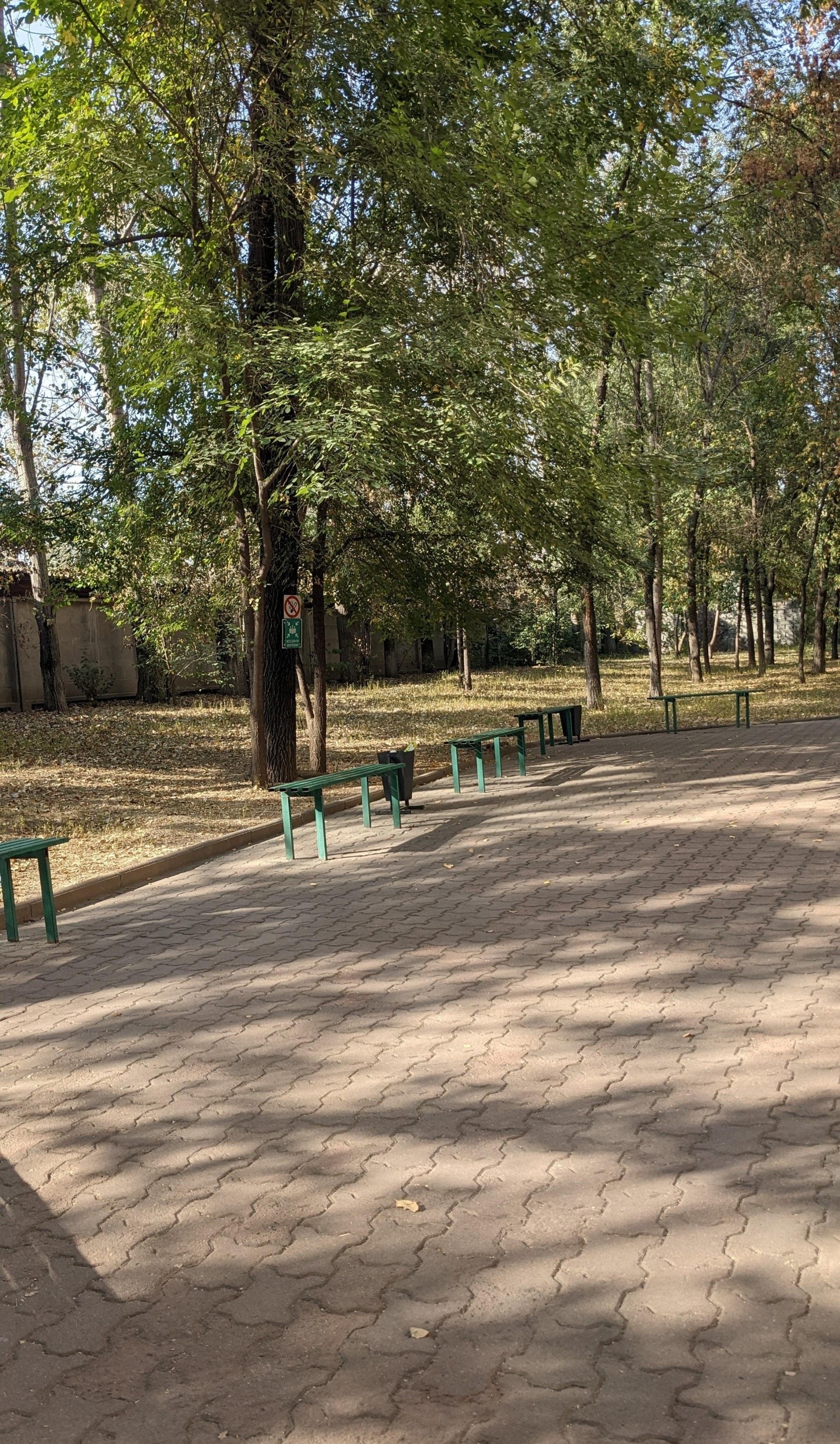 Городская поликлиника №10