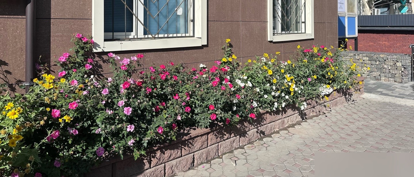 Тау Сункар