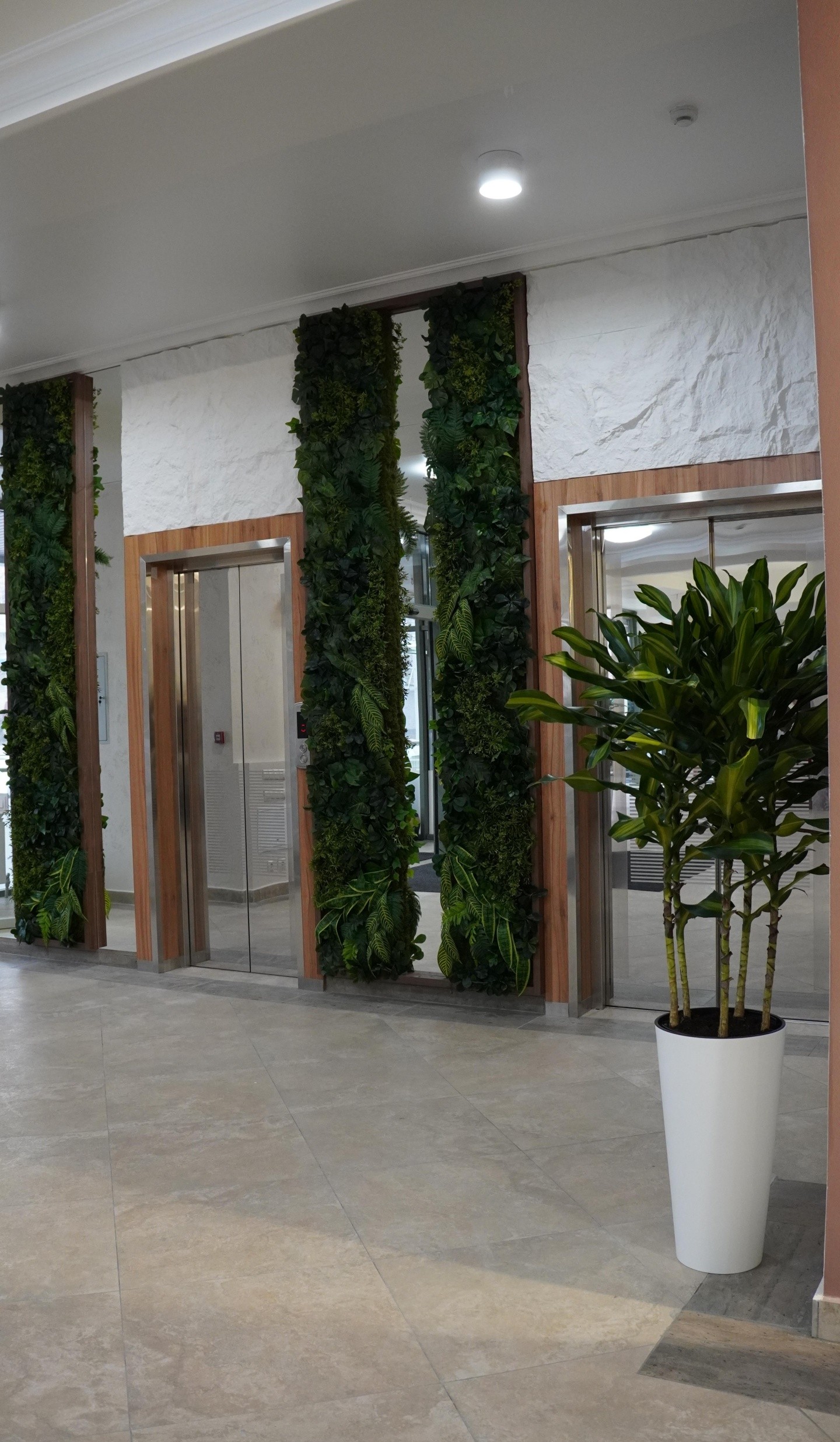 Alash expert clinic