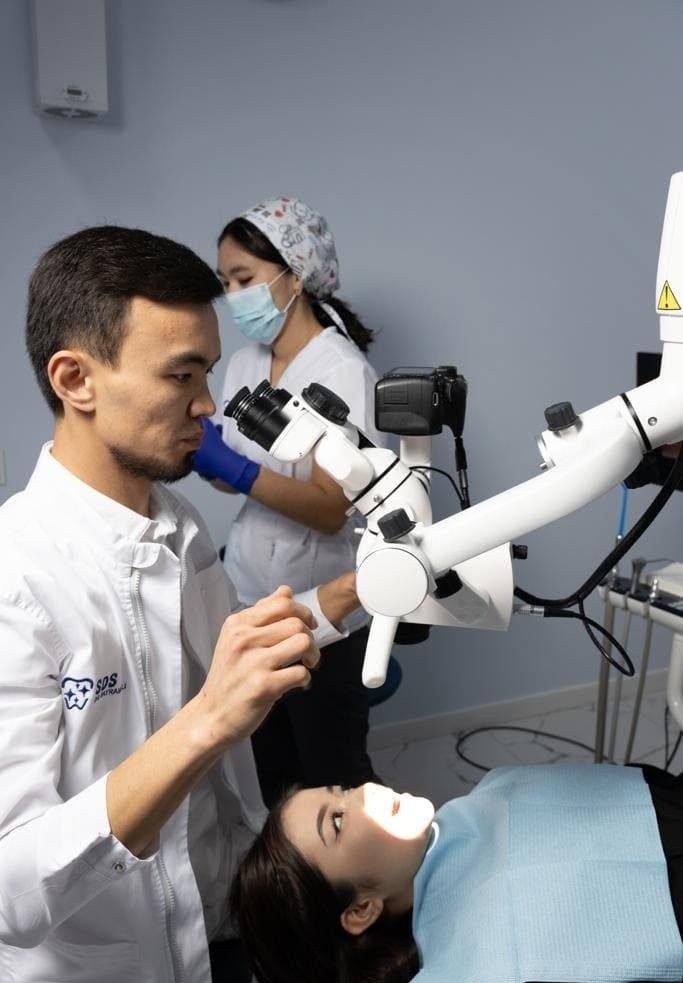 SDS Dr.Bayram-Ali