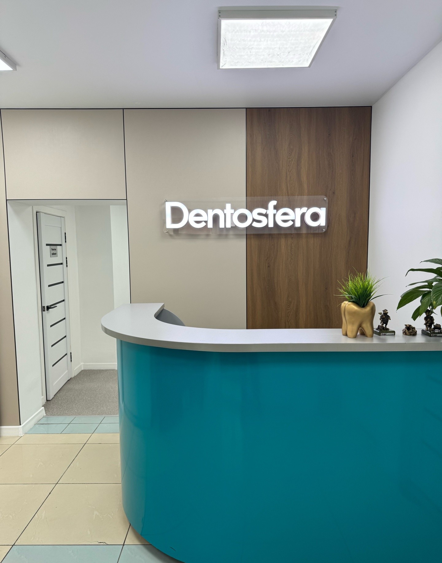 Dentosfera