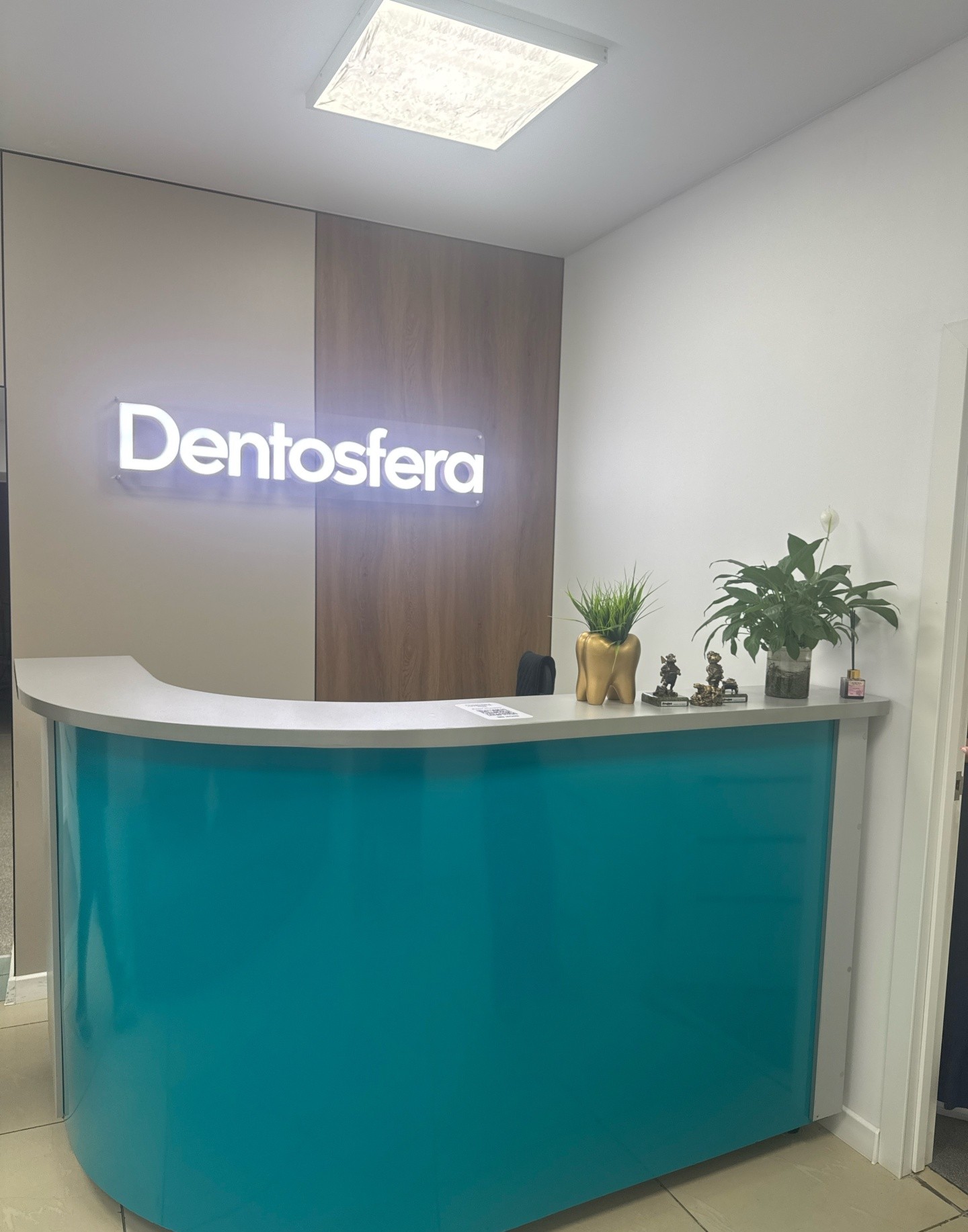 Dentosfera