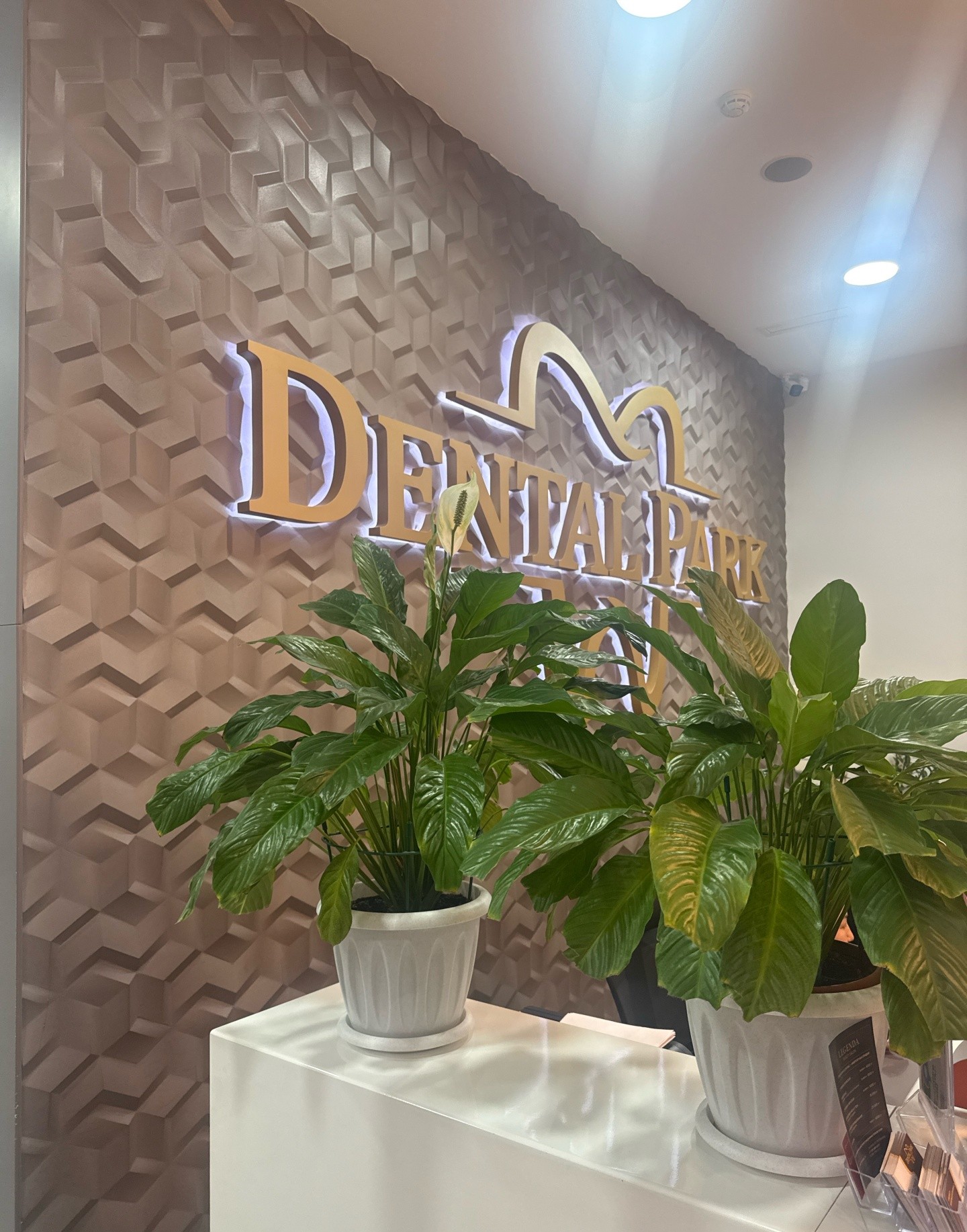 DentalPark