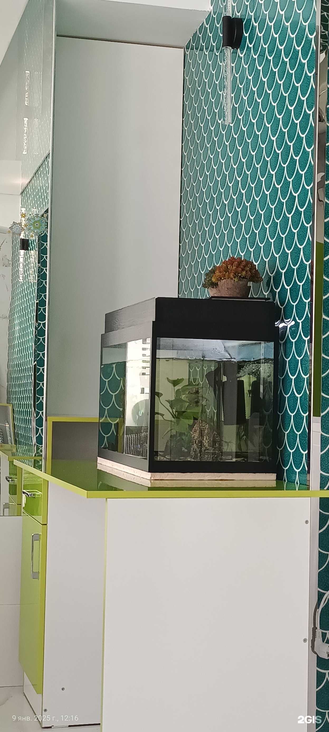 Radix pharmacy