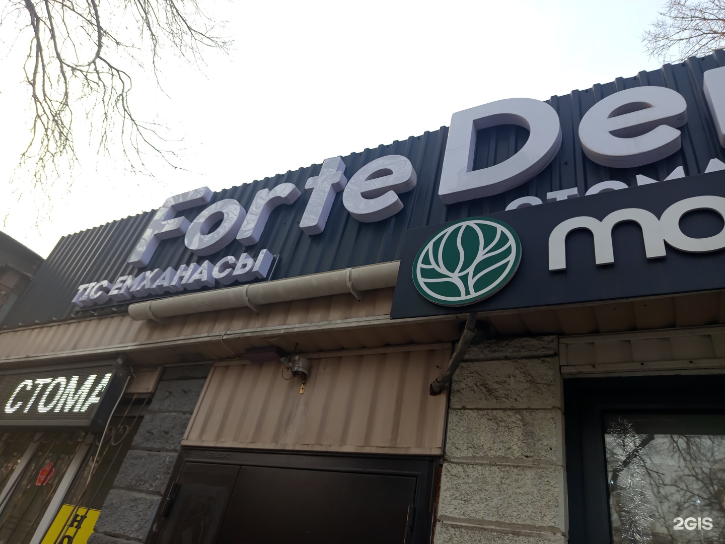 Forte-dent