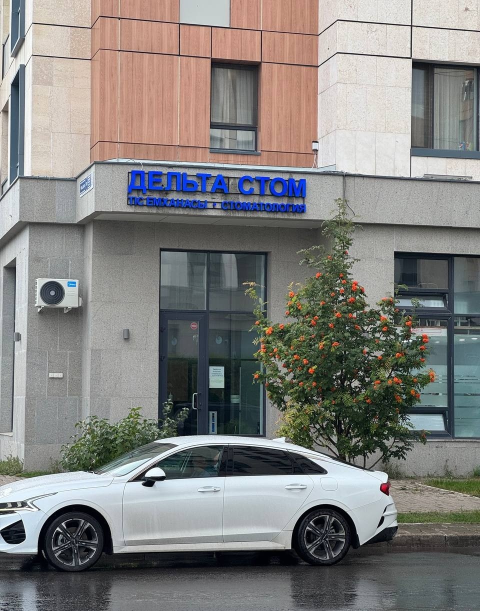 Дельта Стом