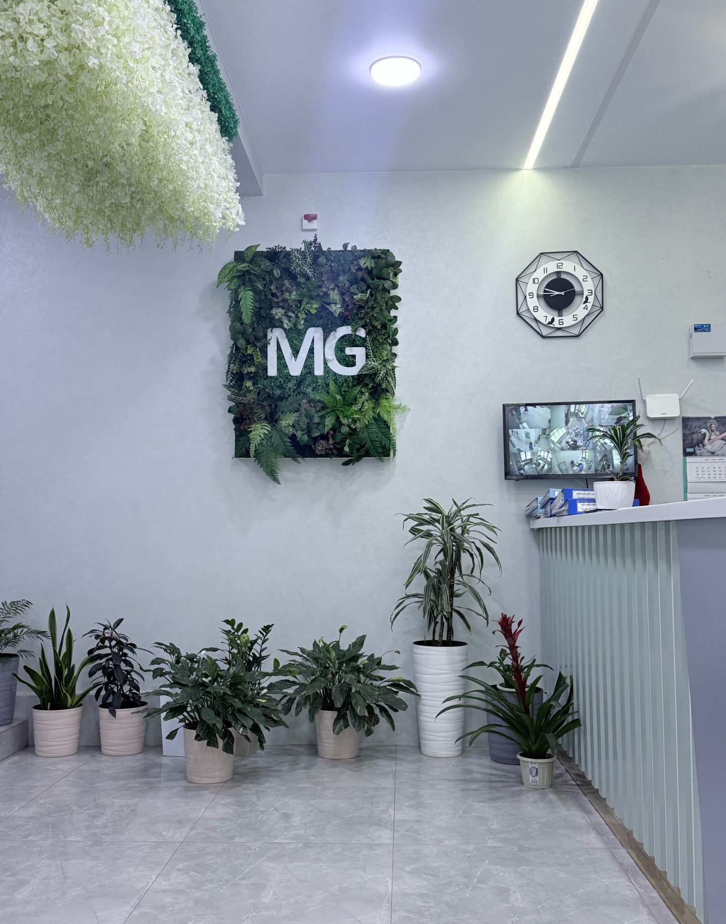 Medical Garden