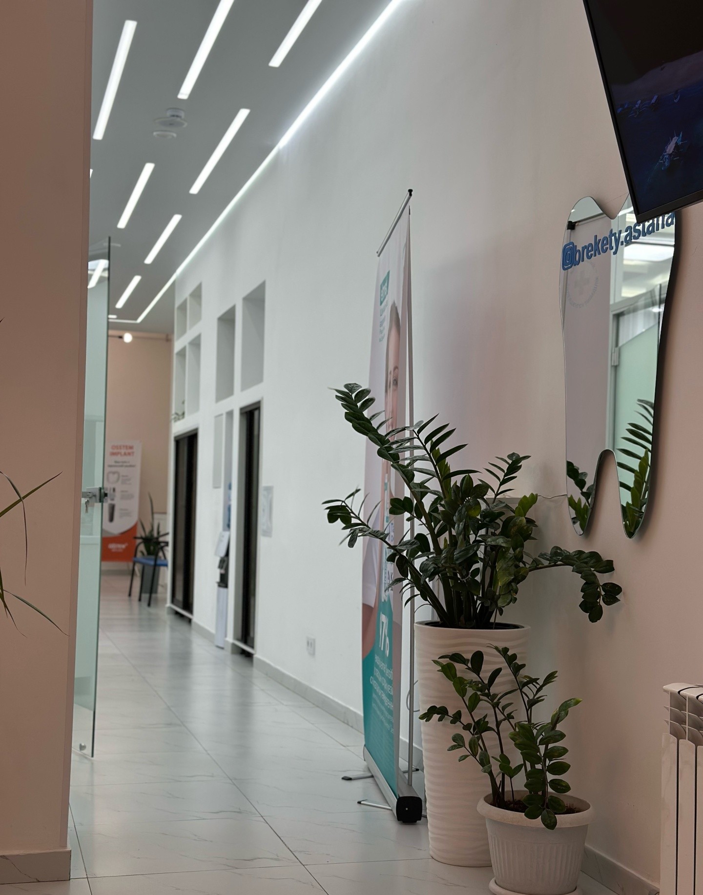 Janym Stom