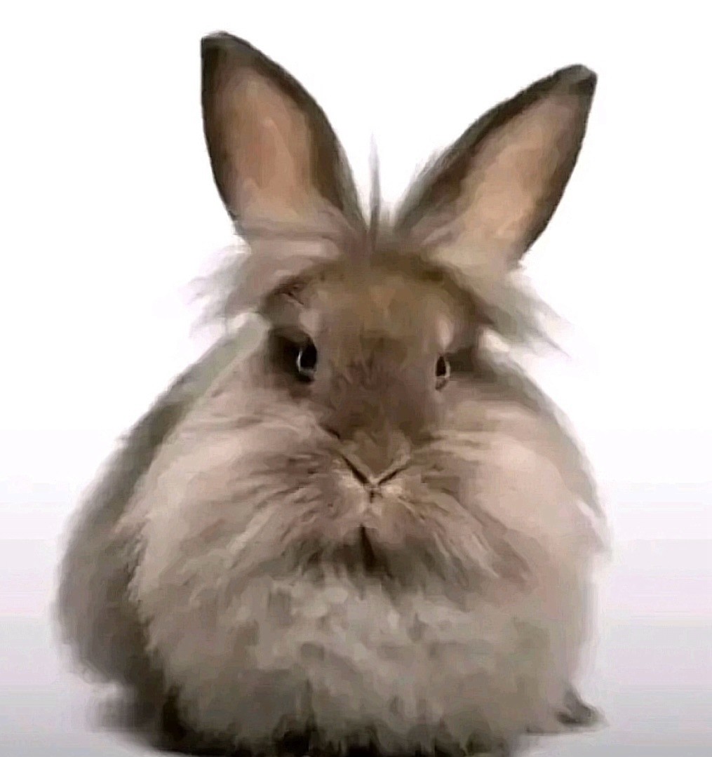 AdilStom