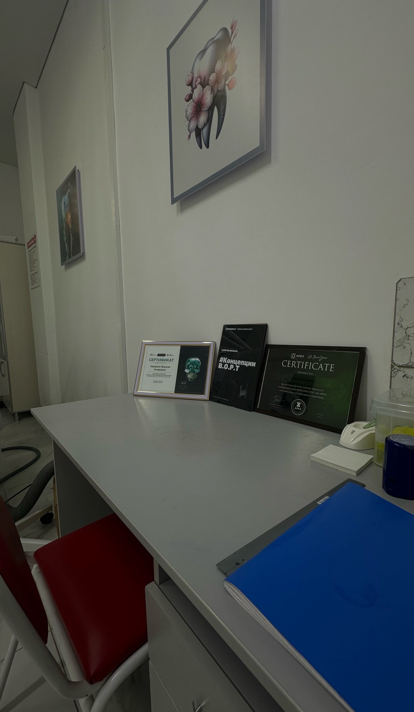 Dental Vision 24/7