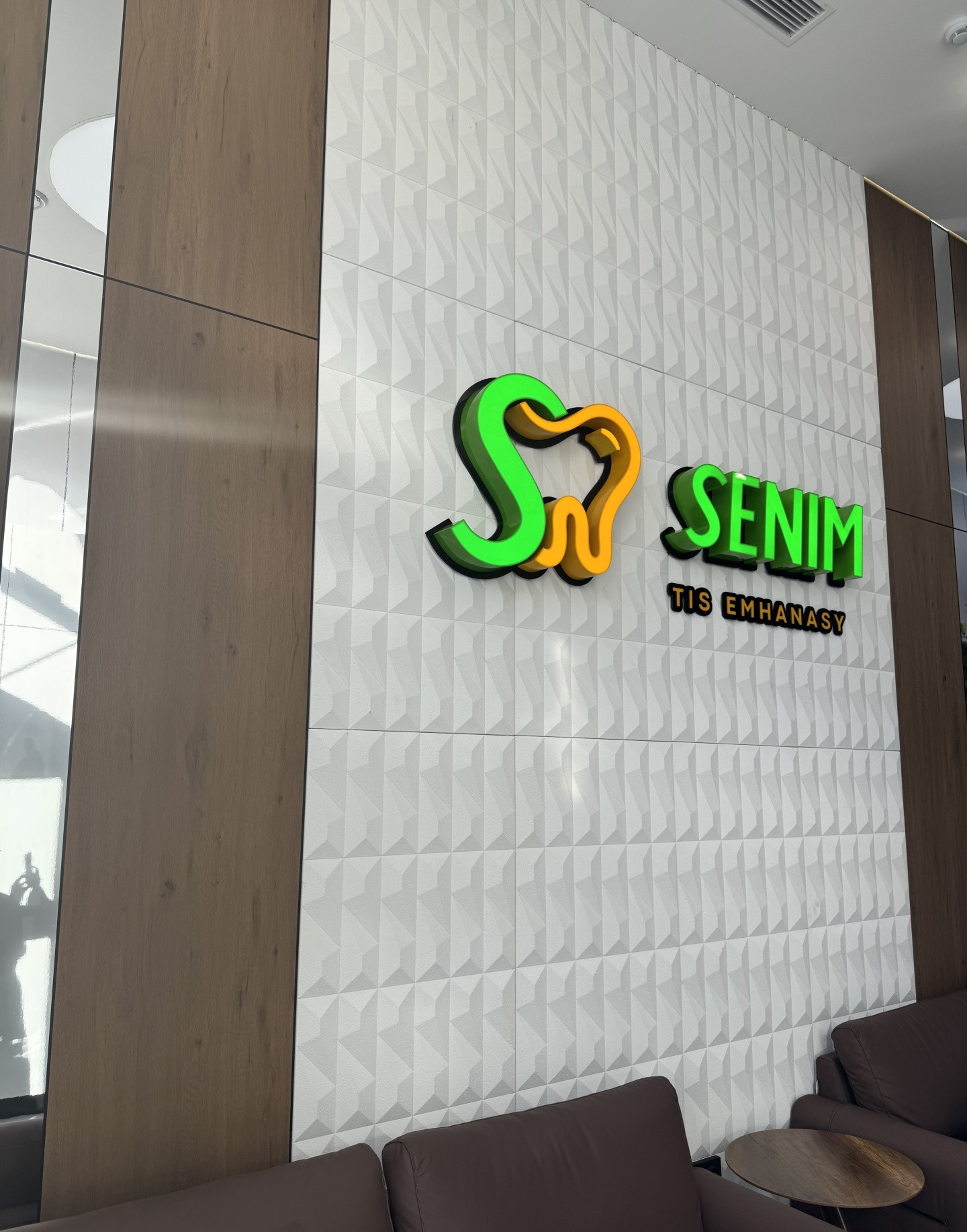 Senim tis emhanasy