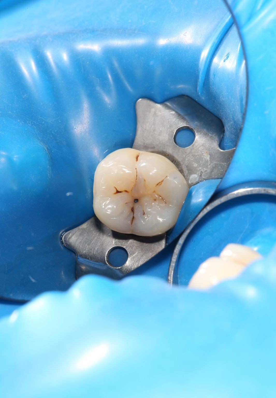 Dr.Torekhanov dental clinic